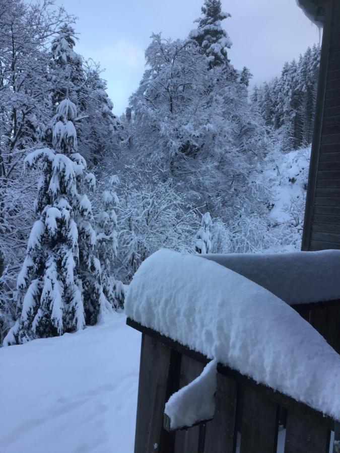 Hotel Restaurant La Fourmi Bourbach-le-Haut Eksteriør billede