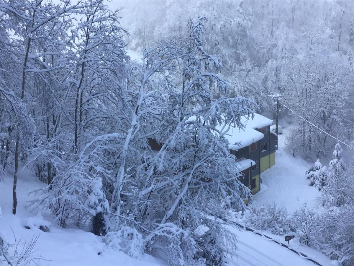 Hotel Restaurant La Fourmi Bourbach-le-Haut Eksteriør billede