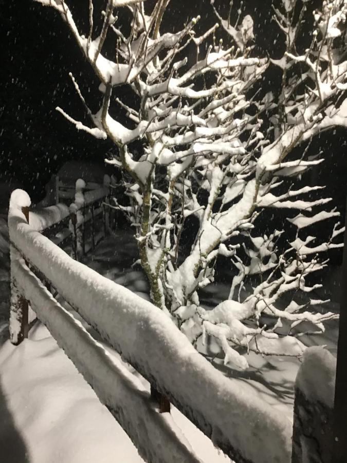 Hotel Restaurant La Fourmi Bourbach-le-Haut Eksteriør billede